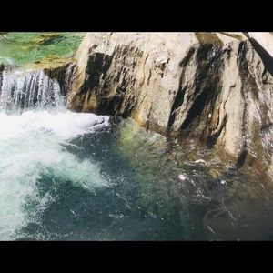 Meet your Posher, Breyer